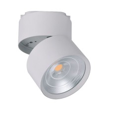 ΦΩΤΙΣΤΙΚΟ ΡΑΓΑΣ 2-LINE 25W CHAMELEON WHITE WARM