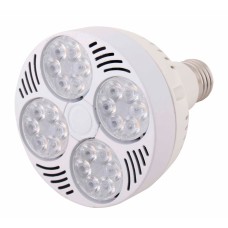 PAR 30 35W CREE CHIP WHITE BODY NATURAL