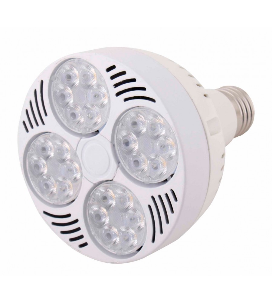 PAR 30 35W CREE CHIP WHITE BODY NATURAL